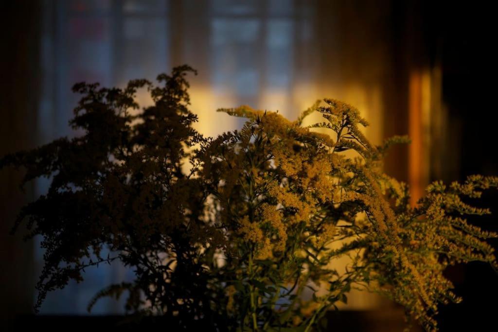 Le Nid De Rochefort エクステリア 写真